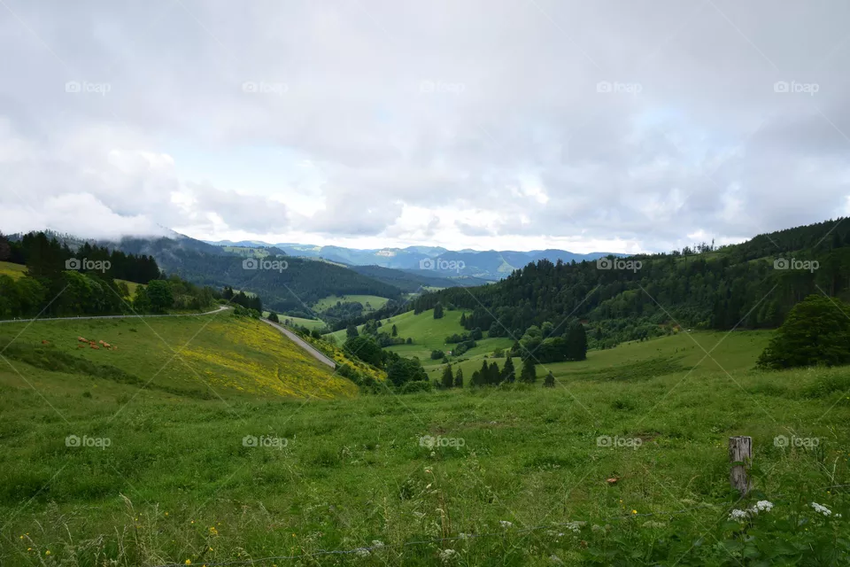 Mountain landscape