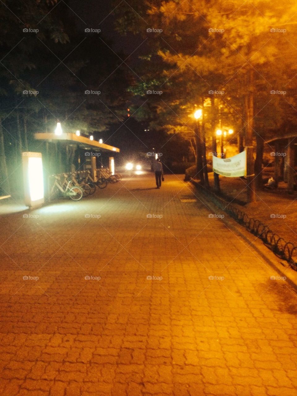 night of Korea