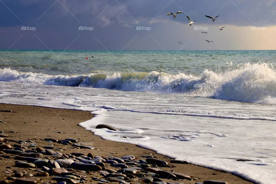 Sea beach 
