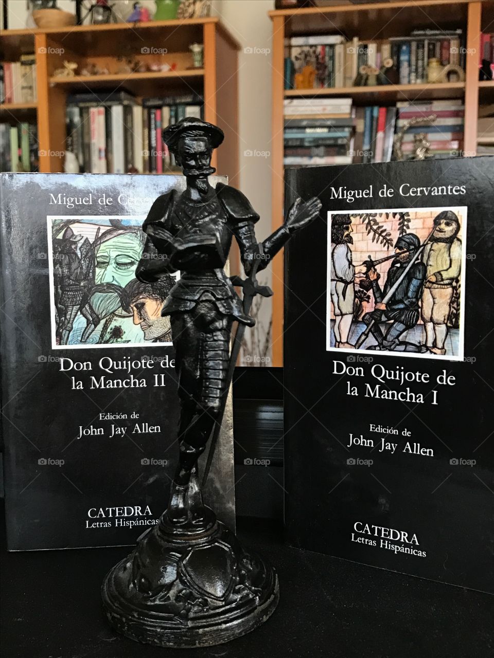 Don Quijote de  la Mancha 