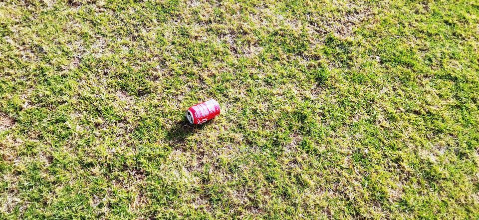 delicious Coca-Cola on green grass in the garden.