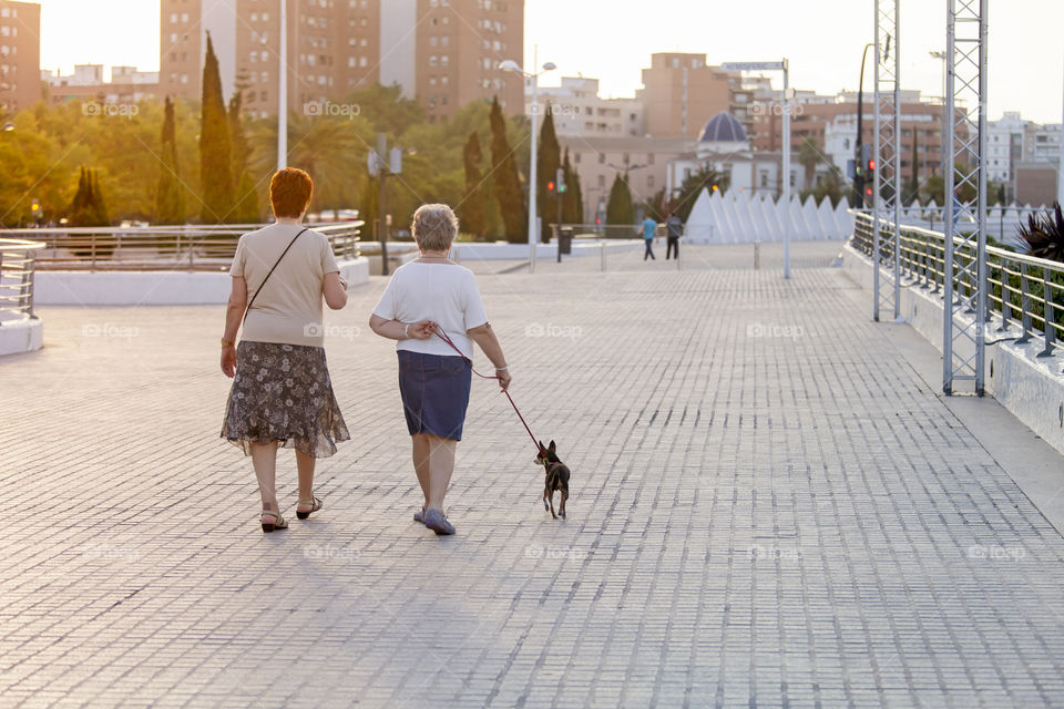 Elderly walking