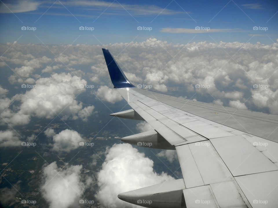 Plane views