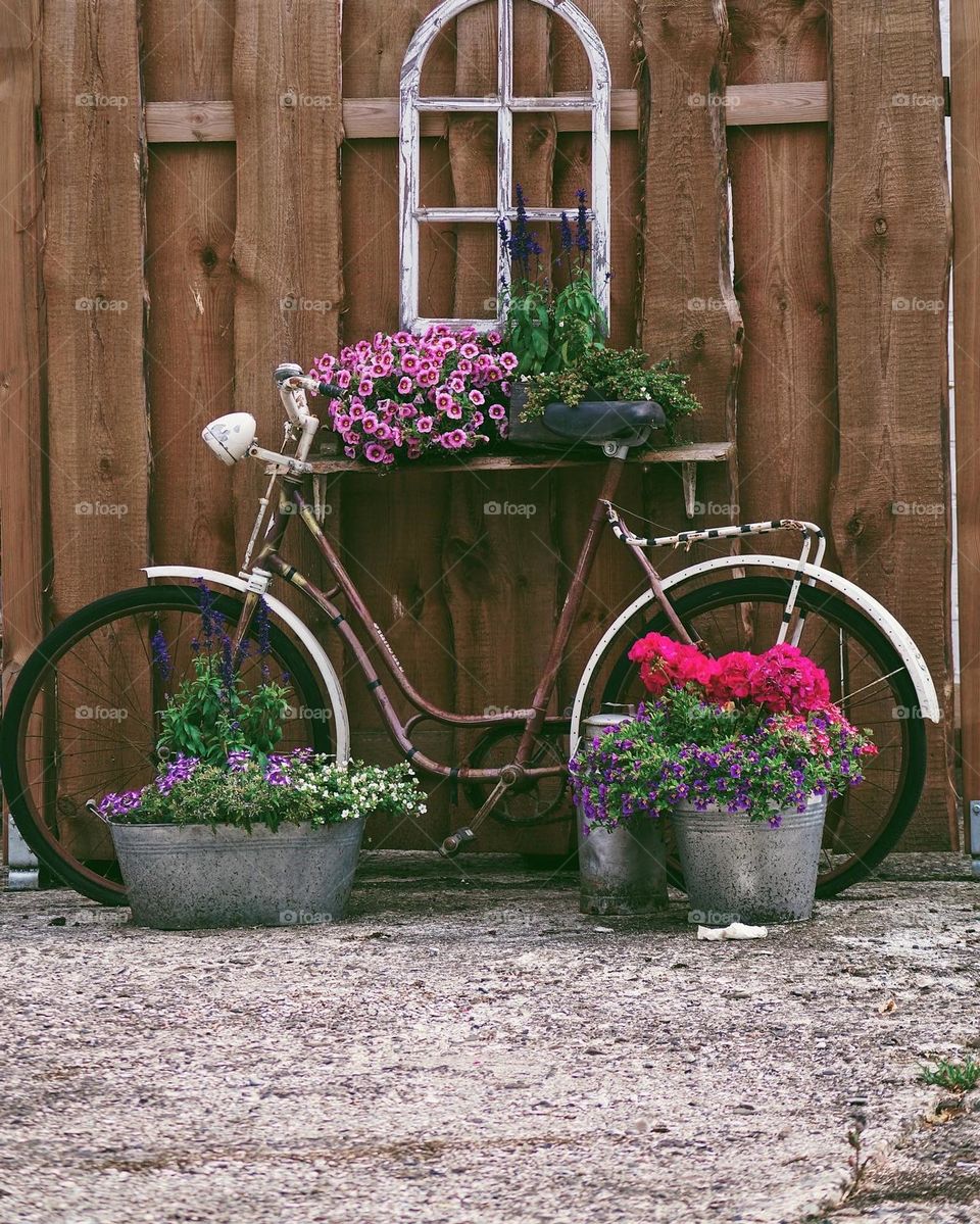 Cottage bike 