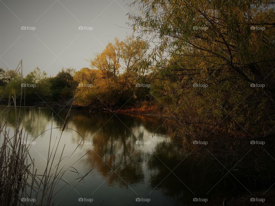 Fall trees reflected in water landscape