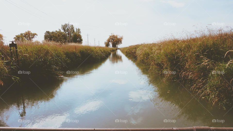 Pale ditch mirror reflection.