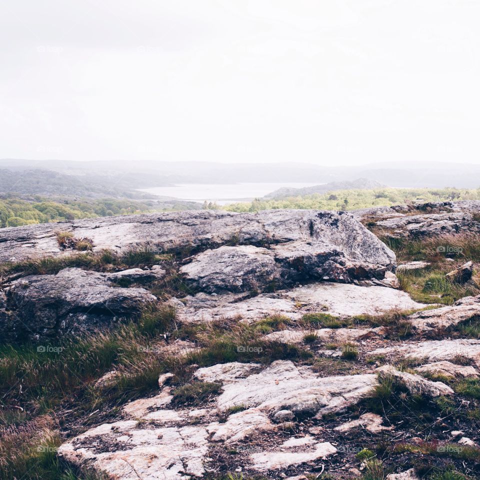 Scandinavian landscape 