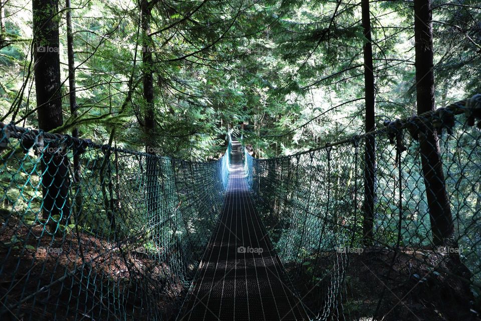 Suspension bridge to the woods