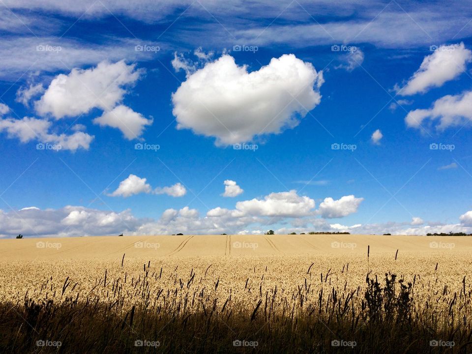 Countryside on my doorstep .. love the heart shaped cloud