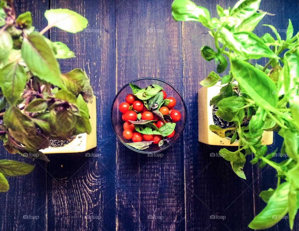 cherry tomatoes and basil leaves