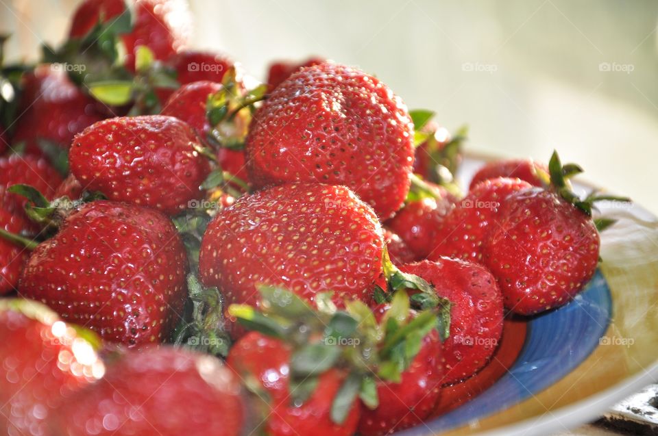 ripe strawberries on the plate