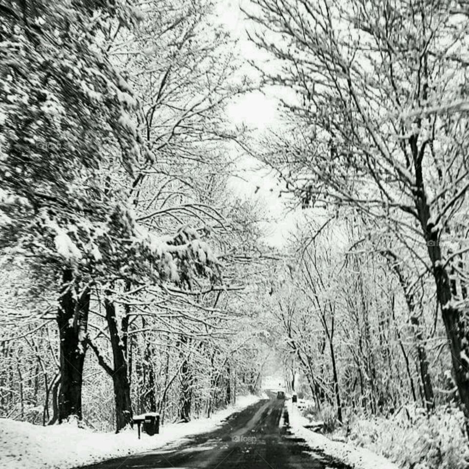 Snowy drive through the countr