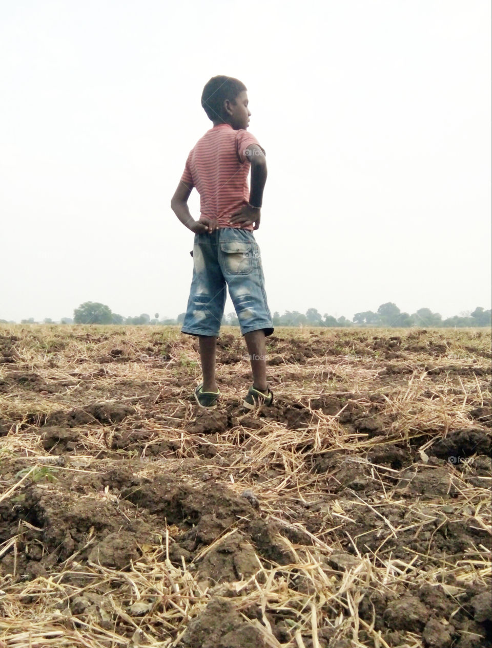 photo of a boy,representing a good photo,boy in the field,a natural sight and 1 photo of a boy,no. 1 excellent photo,poor boy photo,great photo of great weather,natural photo,real natural photo,1 great photo for you,boy in style photo,photo 4 u