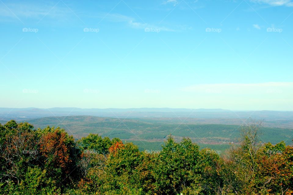 Landscape view of trees and sky