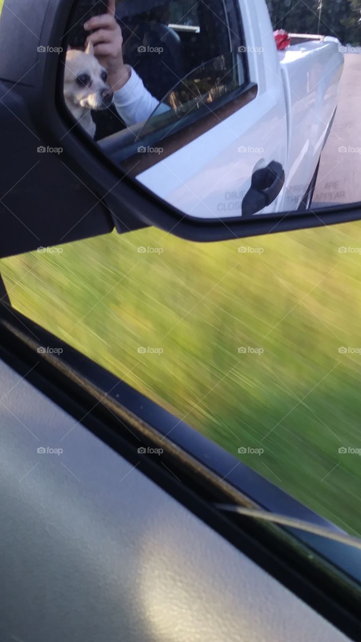 gily going for a ride