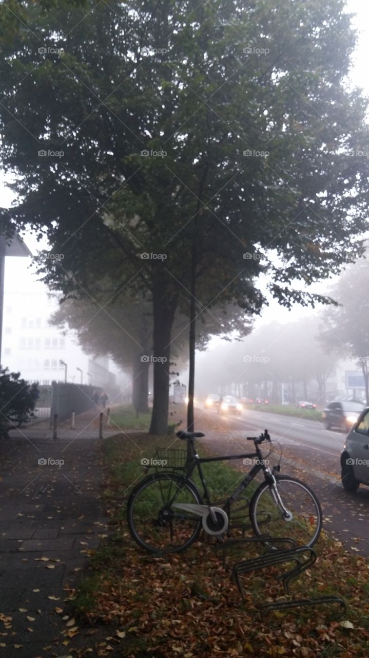 Fog in the city