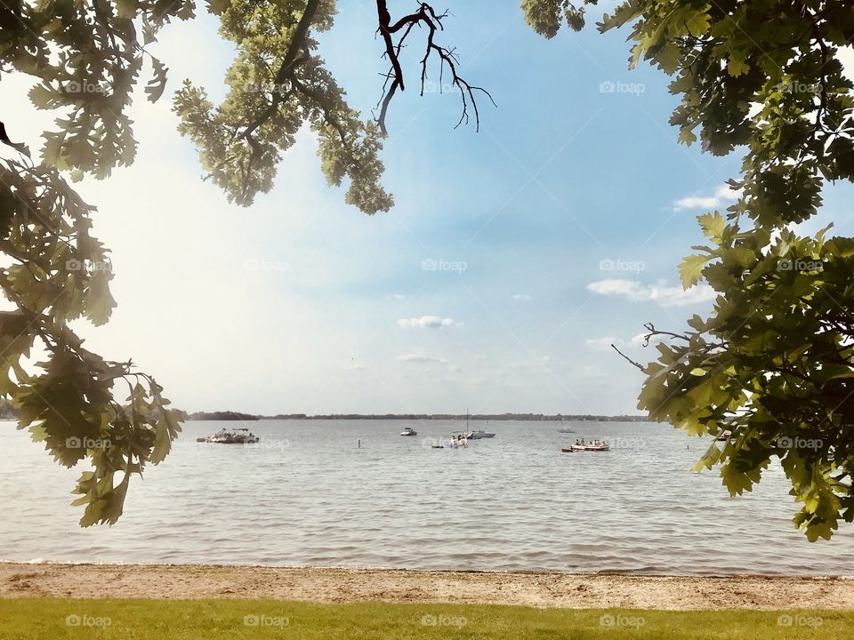 Gorgeous photo of beach with leaves in the forefront on this beautiful sunny afternoon!! 