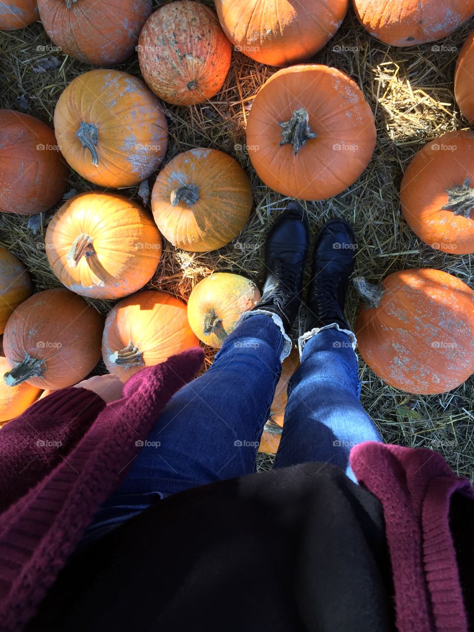 Low section of woman with pumpkins