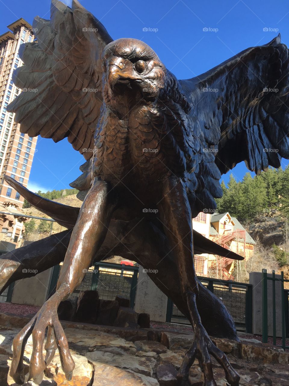 Eagle statue in Colorado 