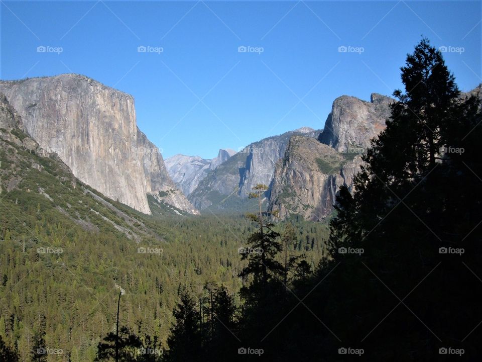 Yosemite National Park Half Dome