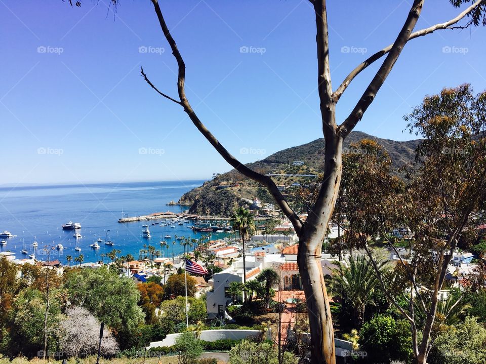 Catalina Island - Avalon