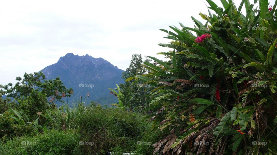 Mount Kinabalu