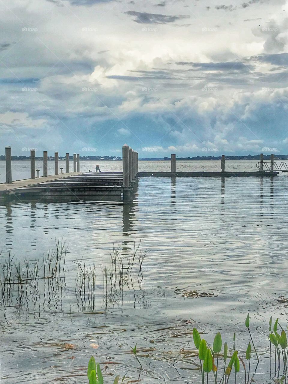 Scenic Lake Dora