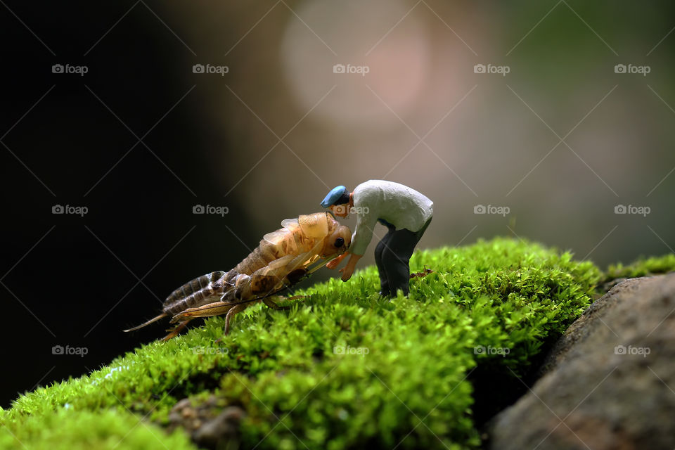 Miniature Figure helping cricket shedding exoskeleton