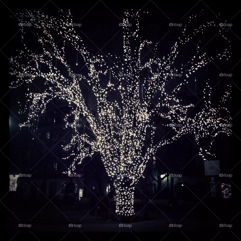 Lights