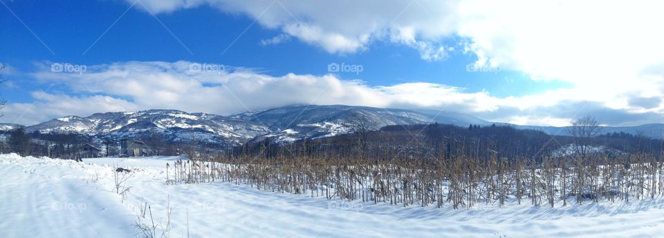 View in winter