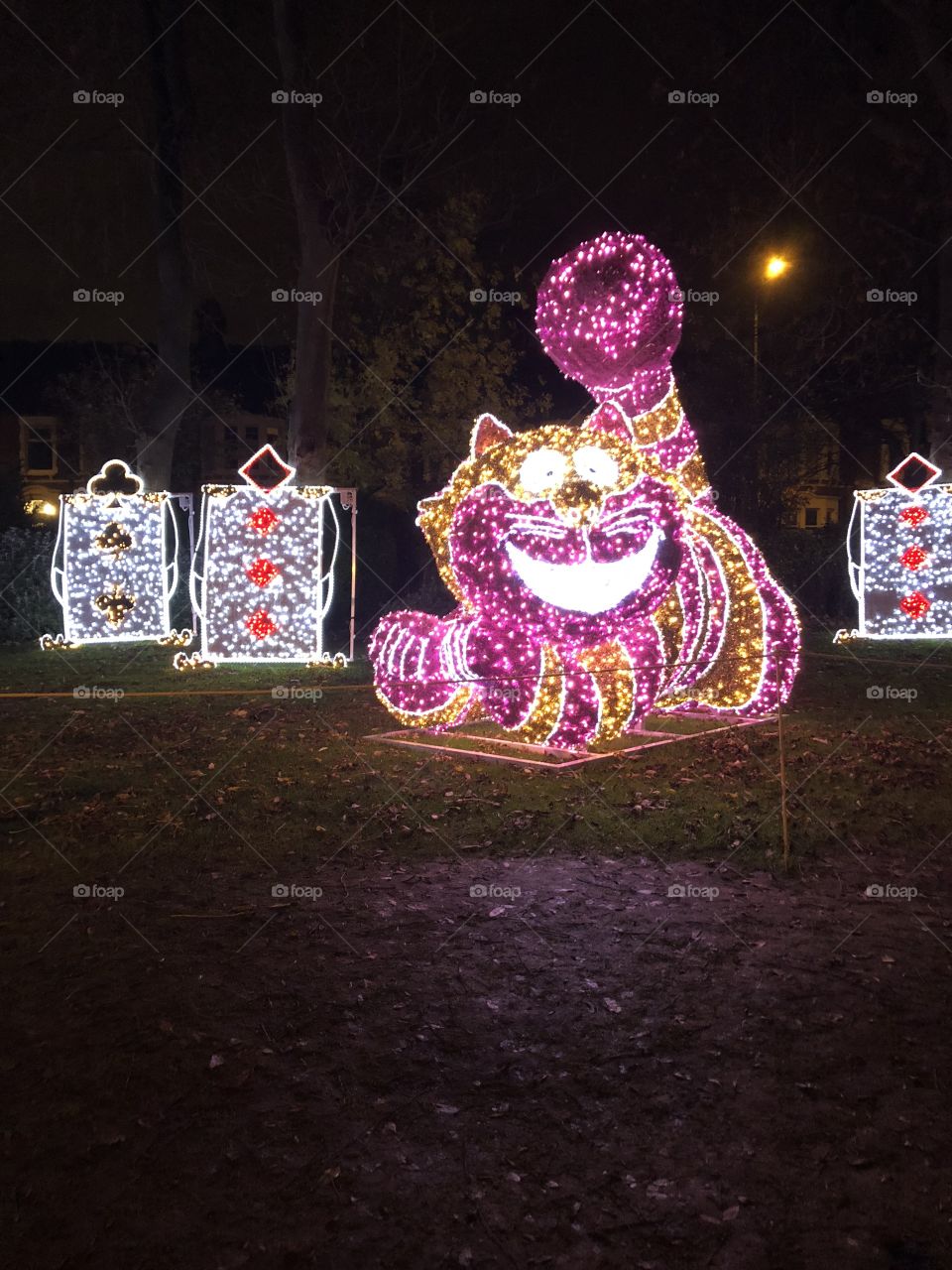 Cheshire Cat at the Illuminations