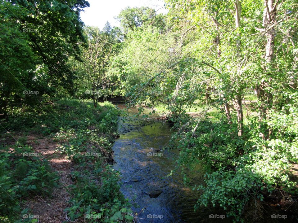view of a stream