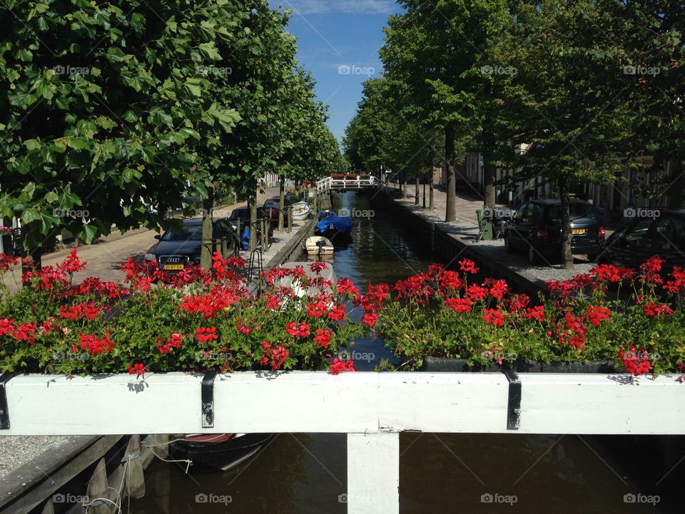 Spring in the netherlands