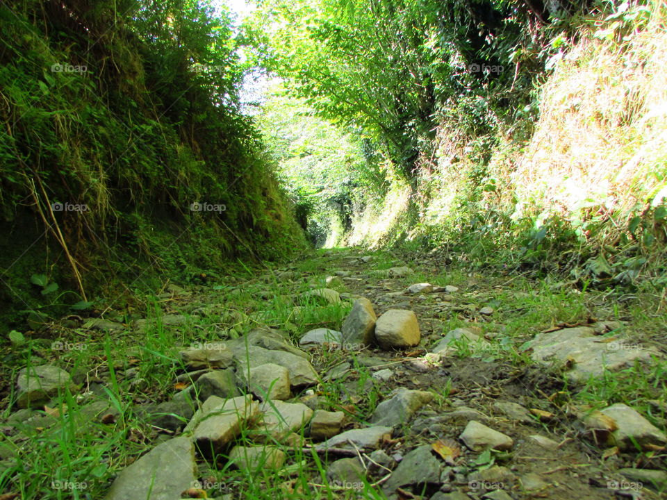 dried up riverbed