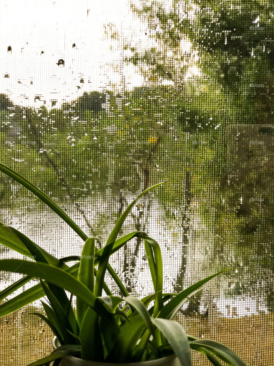 Fall rain from window