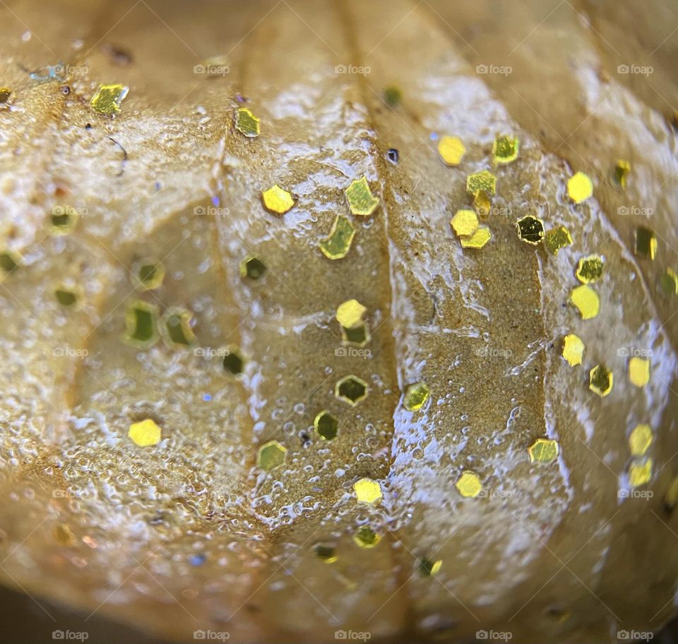 Gold Glitter on dried flower with clear coat painted over 