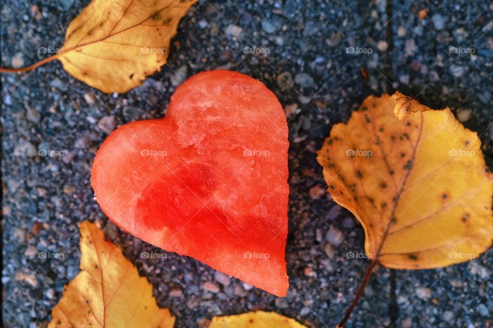 Heart Among Leaves, Watermelon Heart With Fallen Leaves, Colorful Flatlay, Fun With Fruits, Summertime Fun, Watermelon Heart 