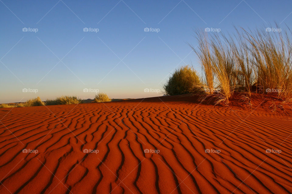 red grass sand desert by geebee