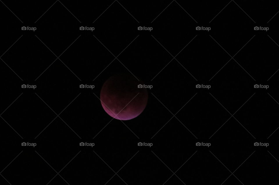 blood Red Moon 1