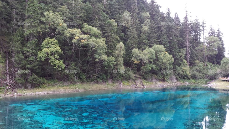 Cristal blue lake and green forest