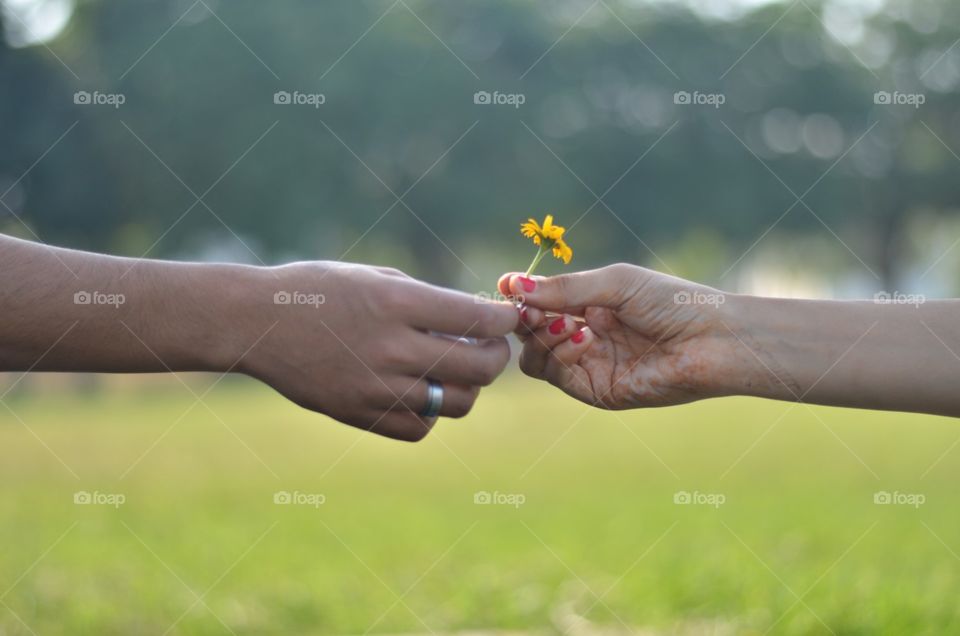 flowers