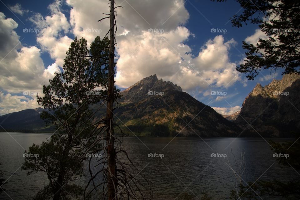 Jenny lake