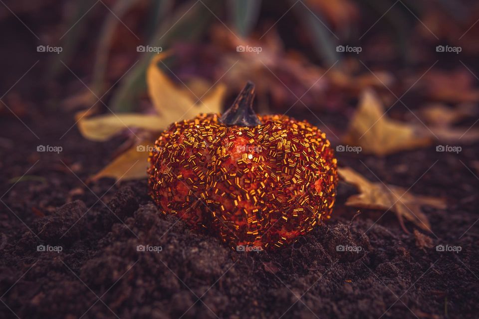 pumpkin decorative