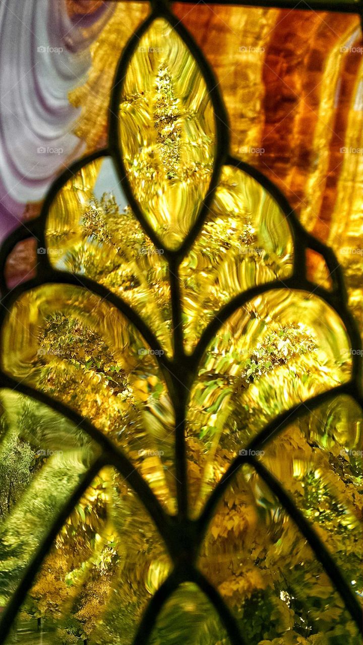 Brilliant gold leaves reflecting in my window