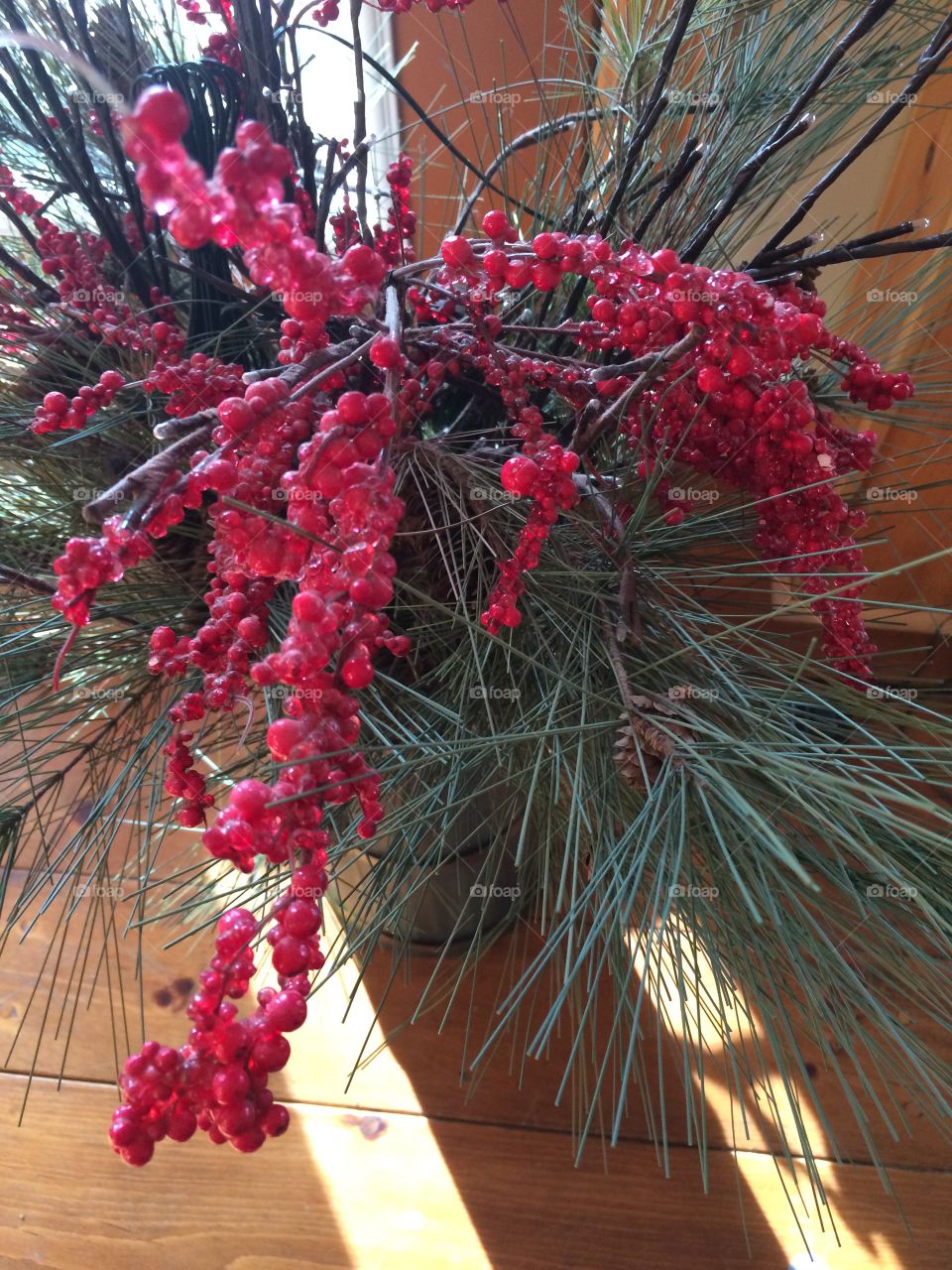 The Most Wonderful Time of the Year