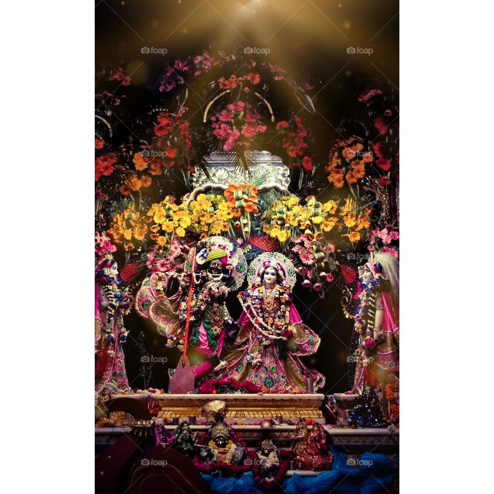 Editors' Choice: Photo of the week