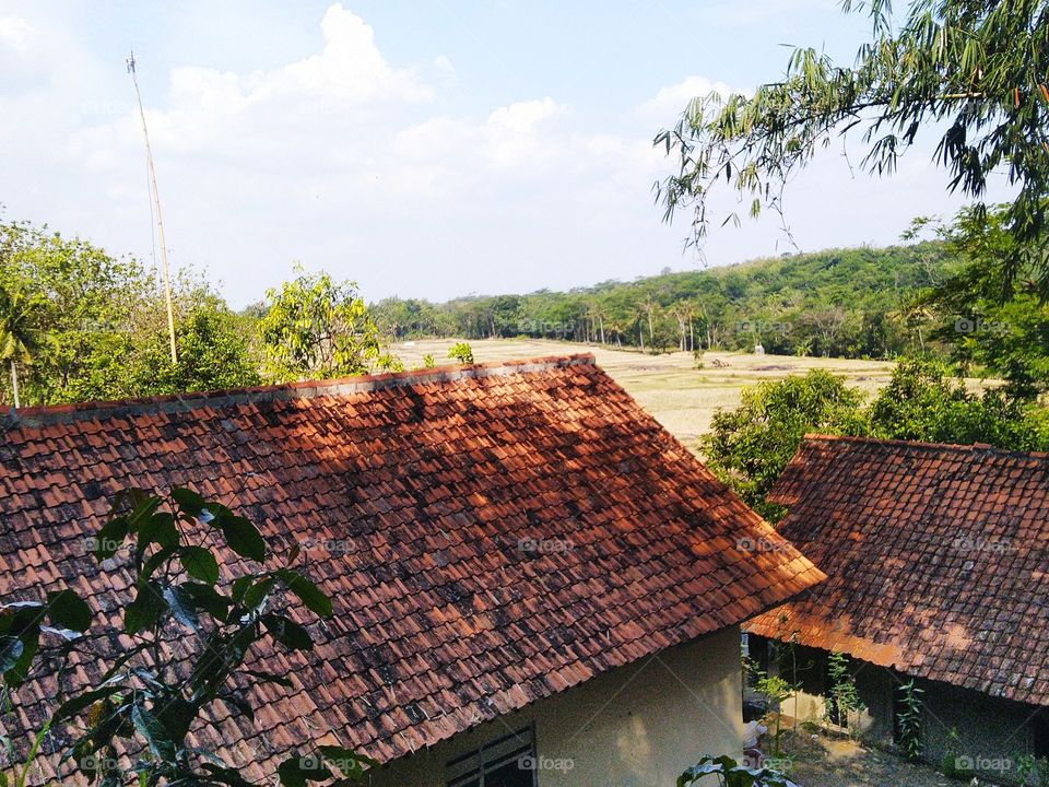 Beautiful view over the highlands