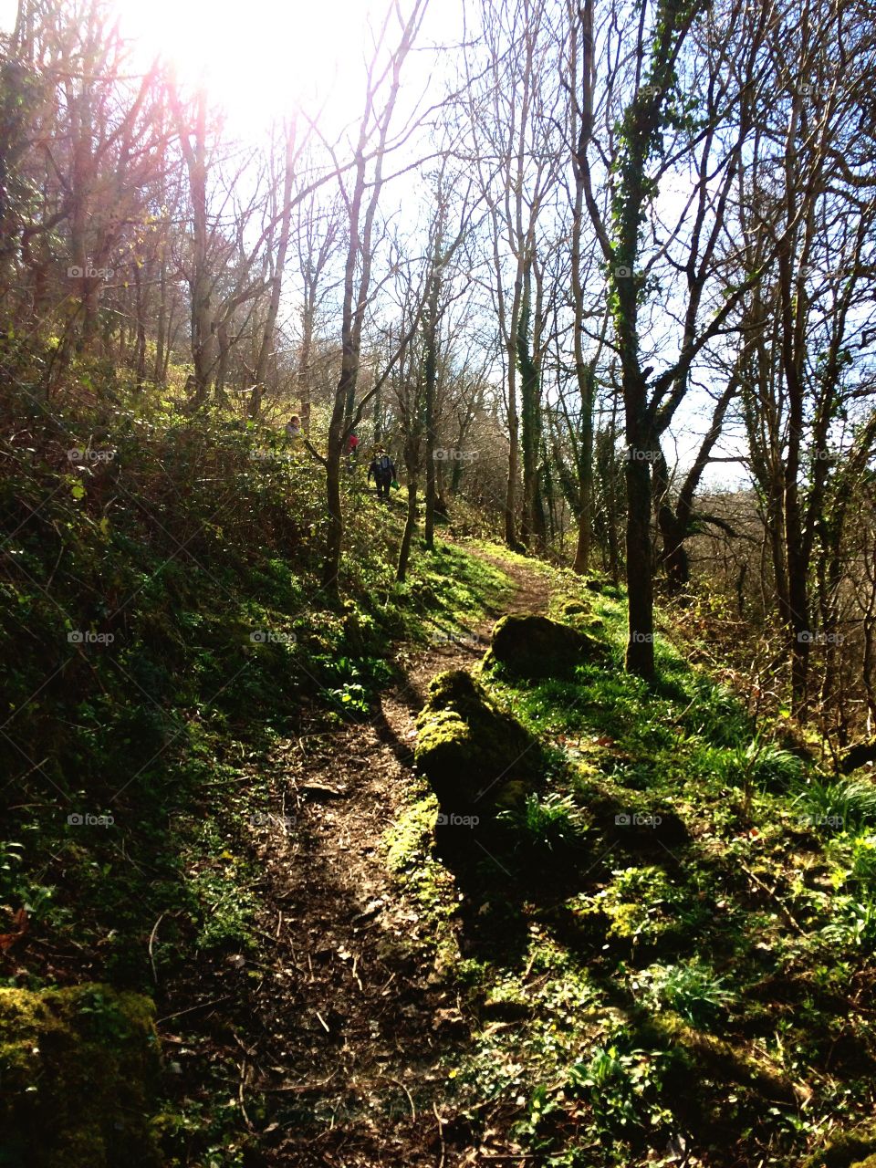 Where the fairy are found. 
Valley of the rocks in North Devon - UK 