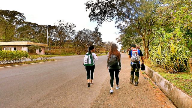 Hikers