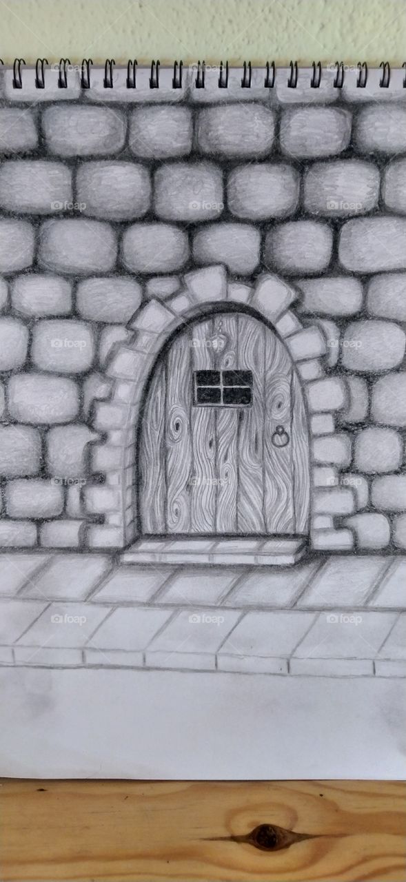 Mi puerta a la imaginacion